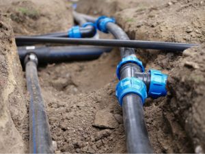 {{ custom_values.service_2 }} in {{custom_values.area_3})