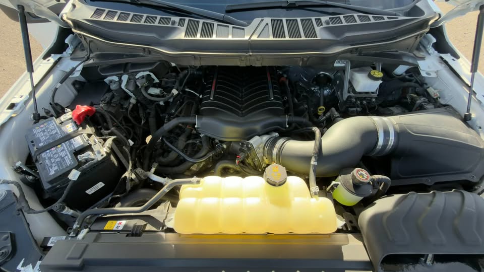 2024 Single Cab Truck