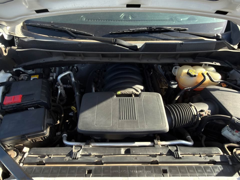 2022 Regular Cab Truck