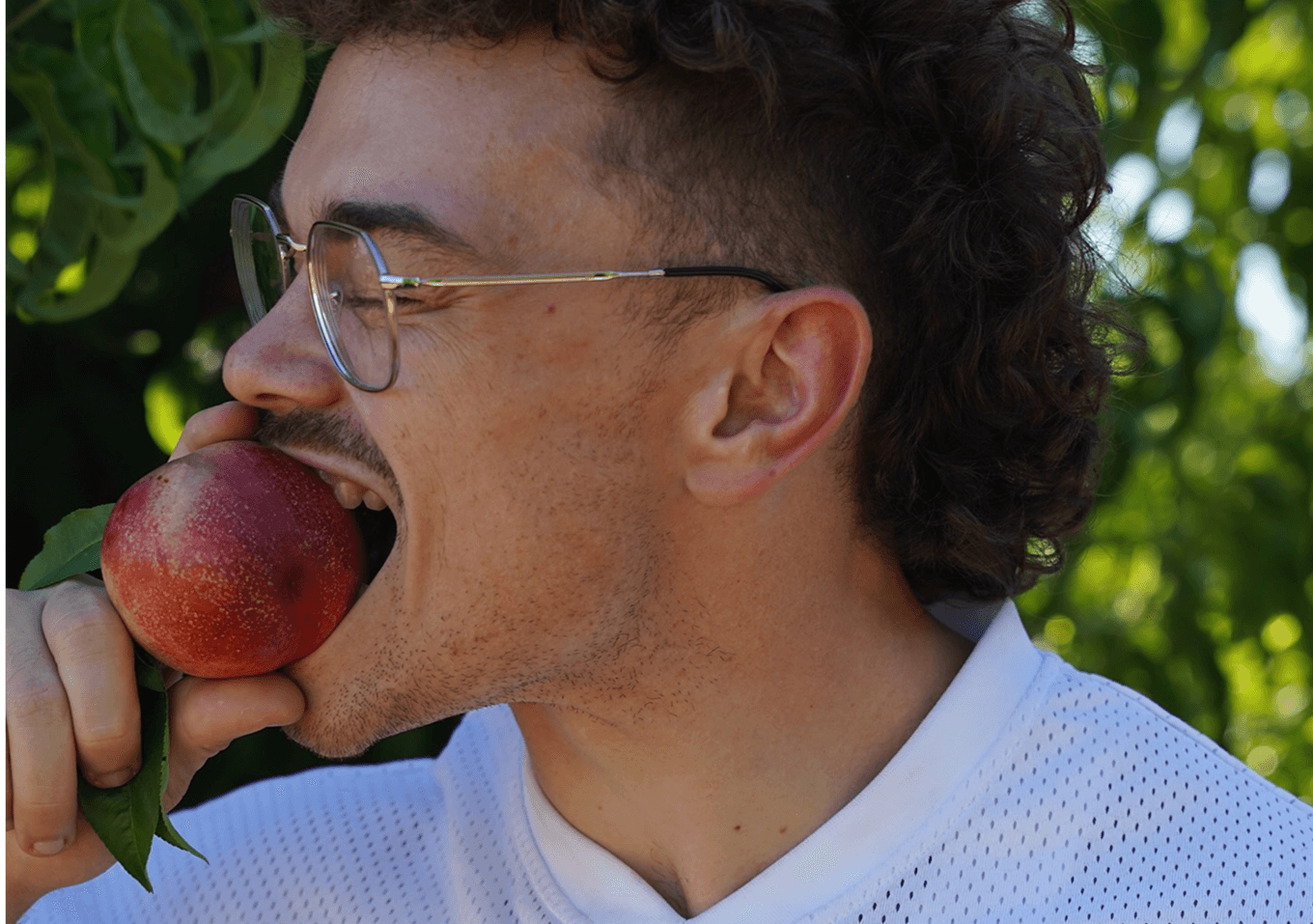 3 Nutrition Protocols