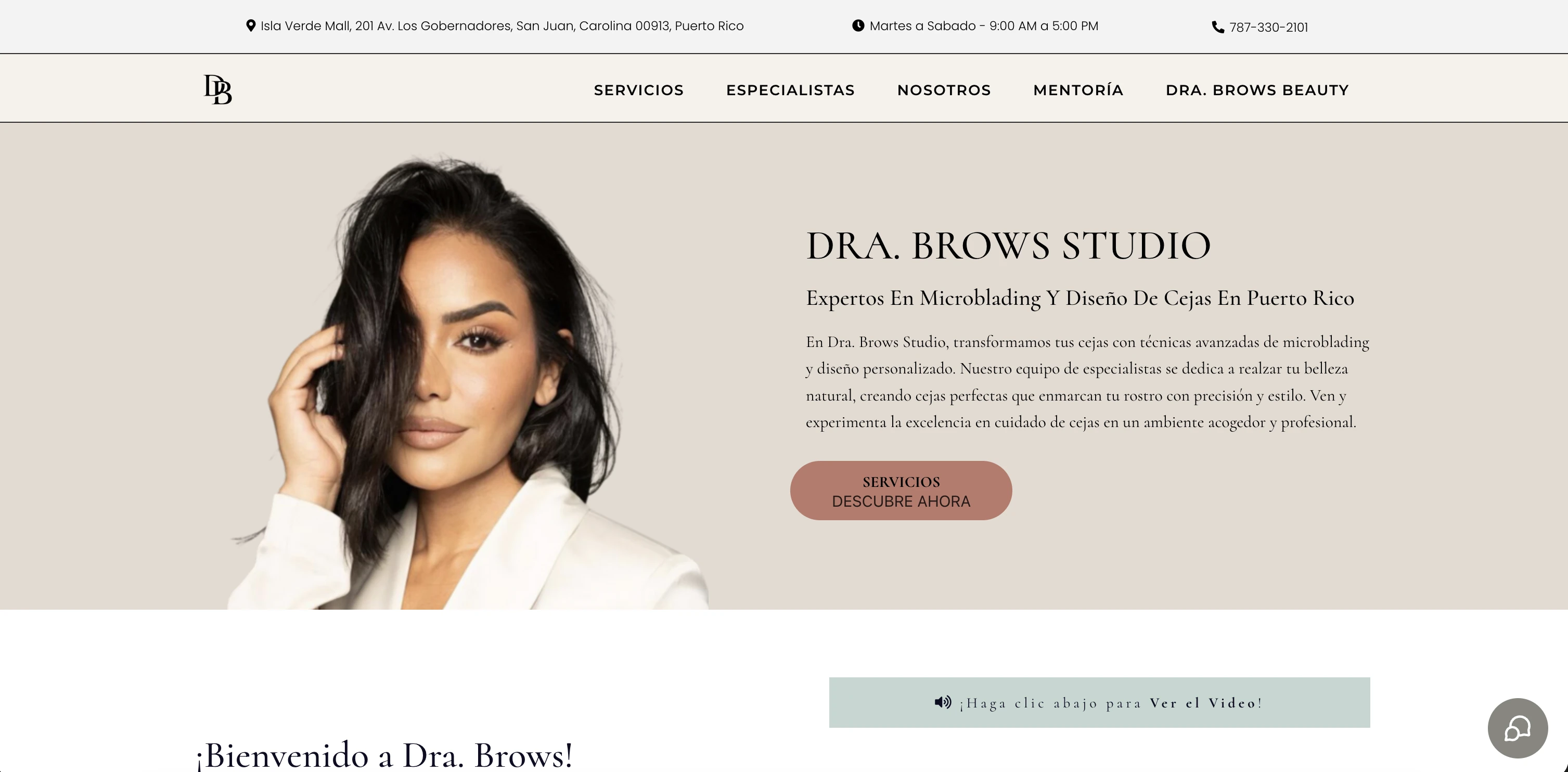 Website de Dra. Brows en desktop