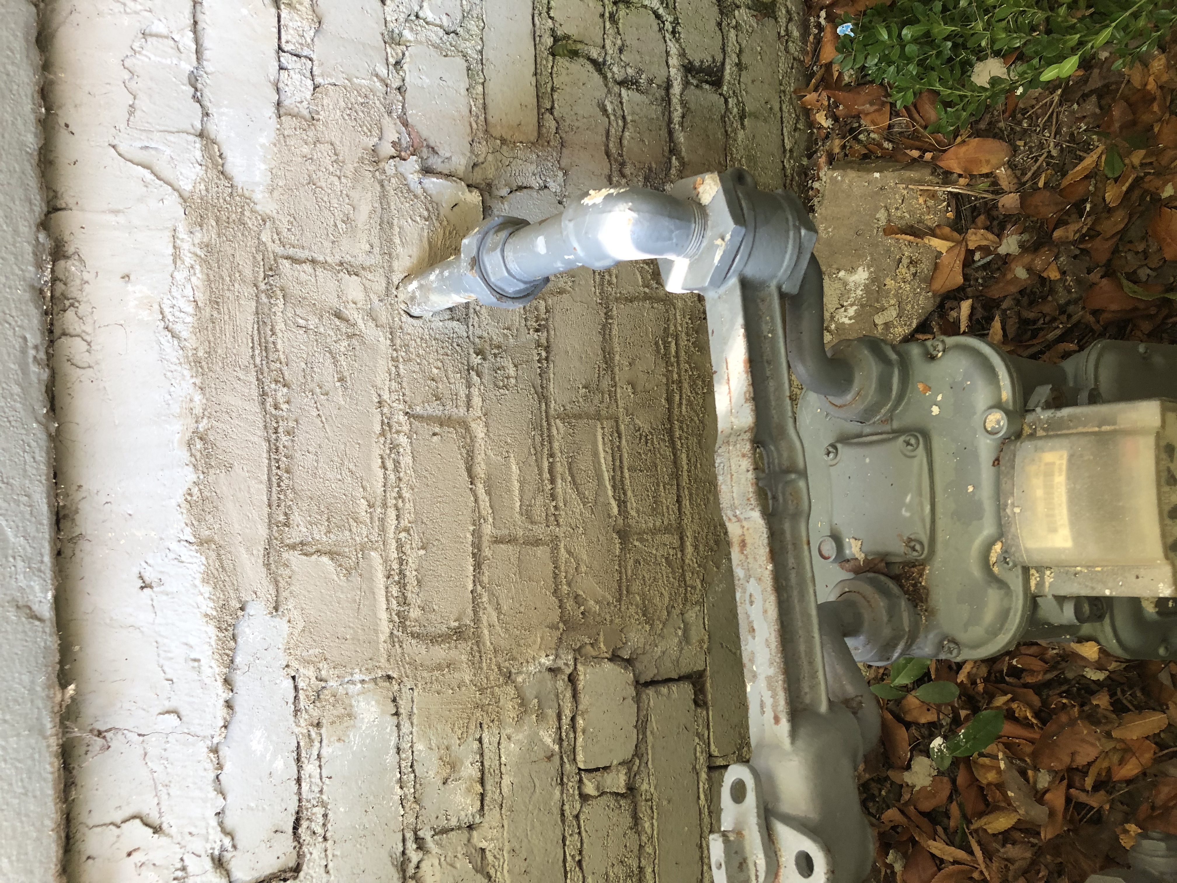 A foundation entry hole sealed and mortared shut after exclusion work