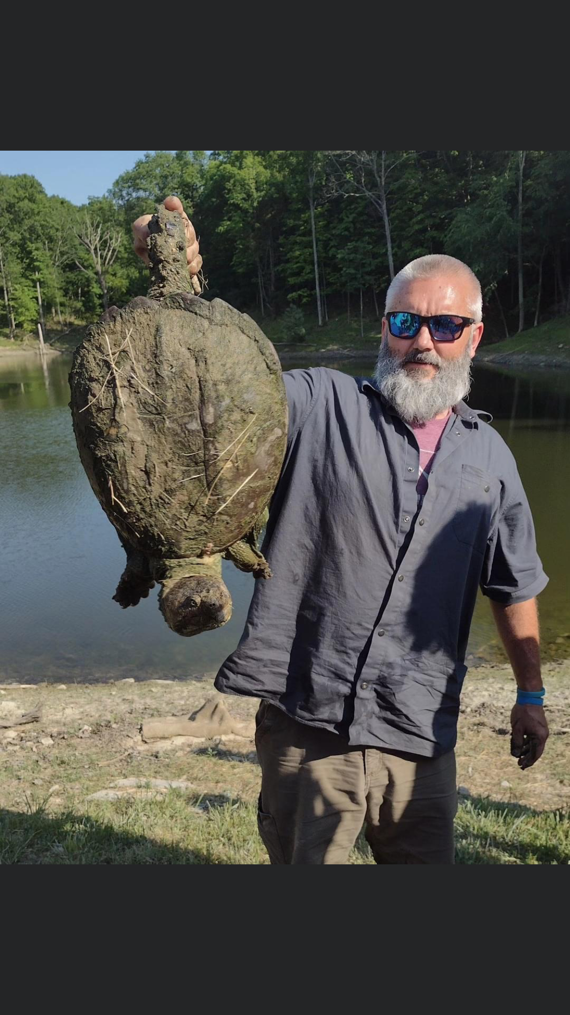 Michael Pope holding a common snapping turtle relocated from a property