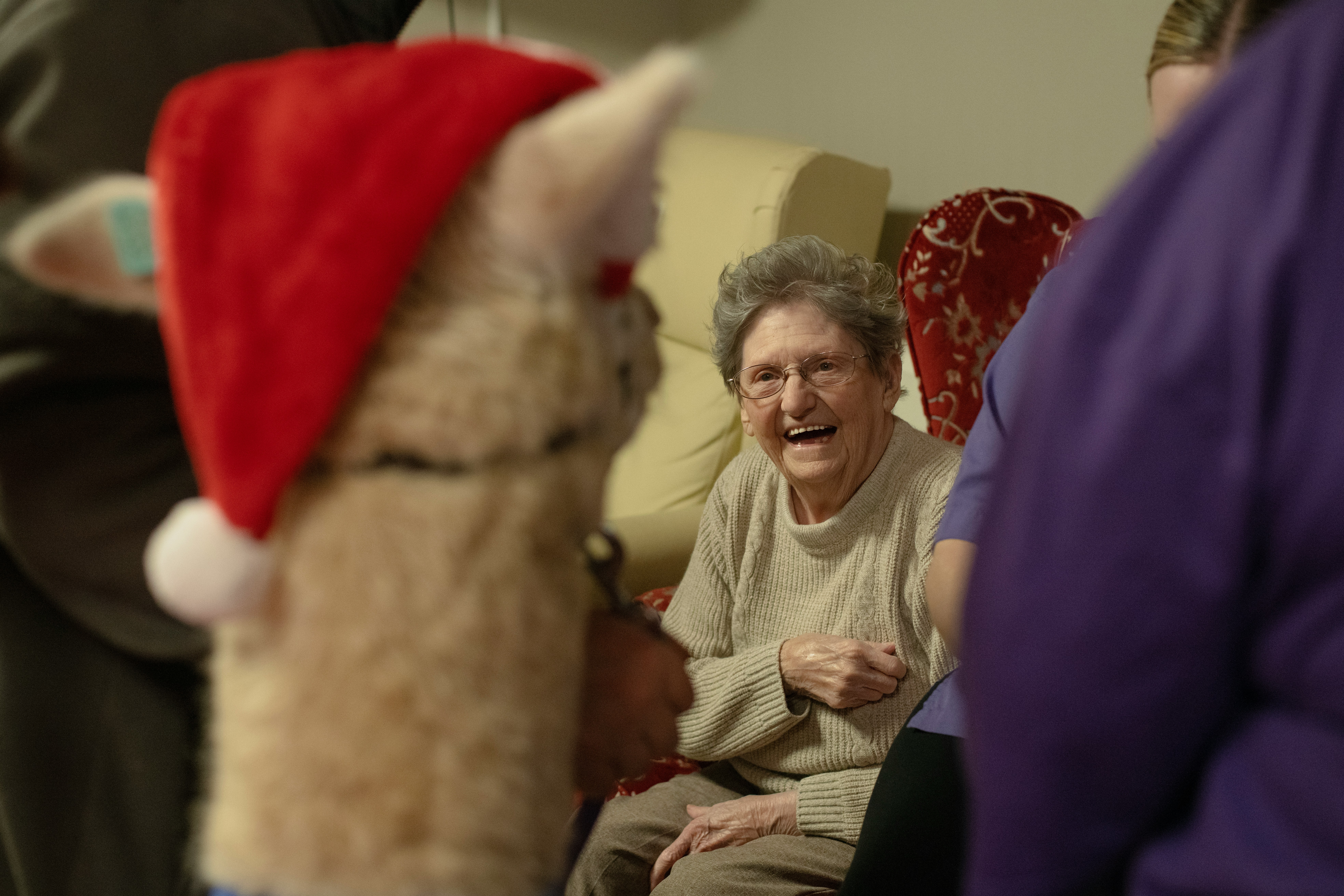 Elderly woman laughing at a sock puppet Elderly woman laughing at a sock puppet