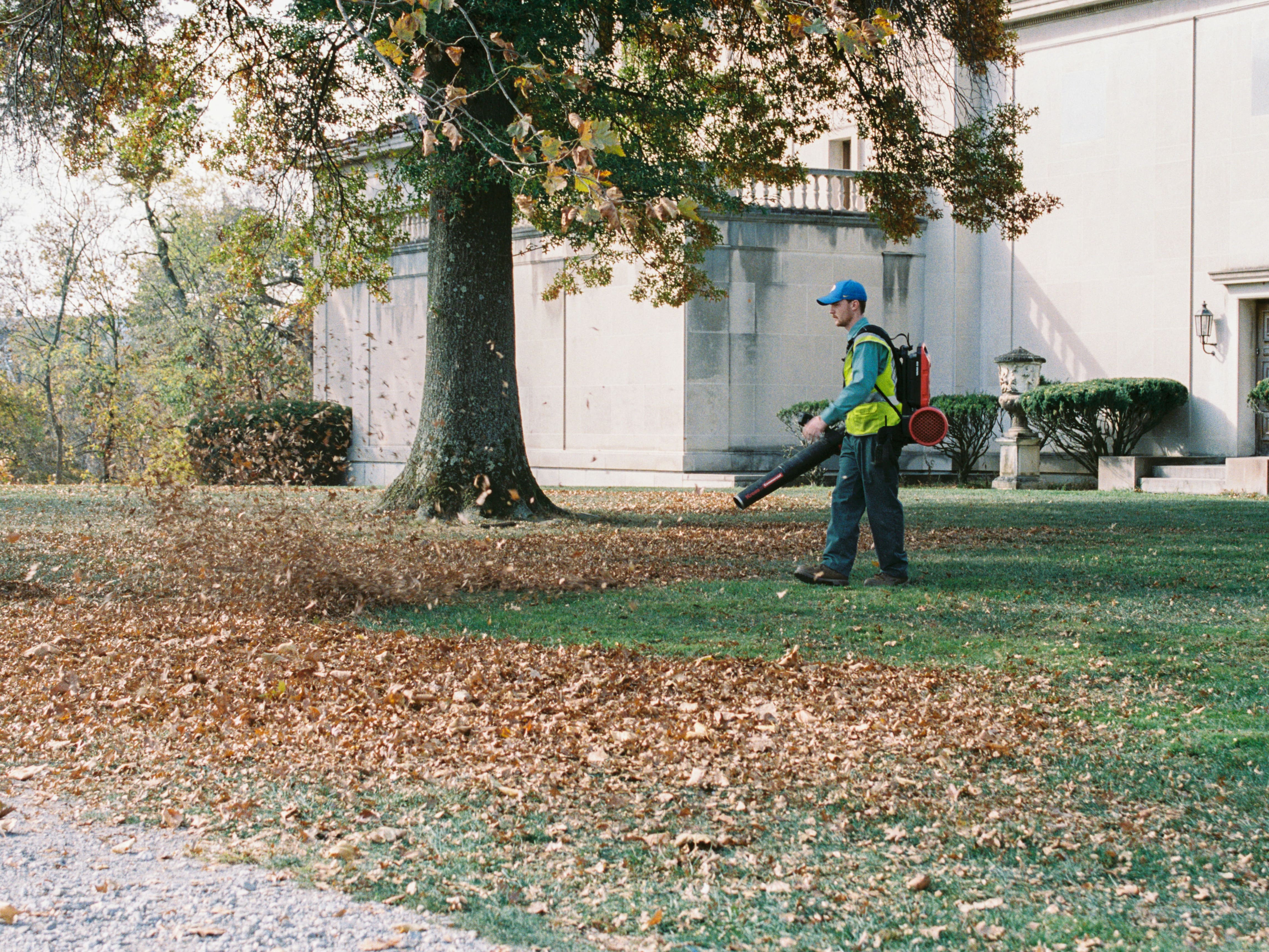 Leaf Removal in Peoria