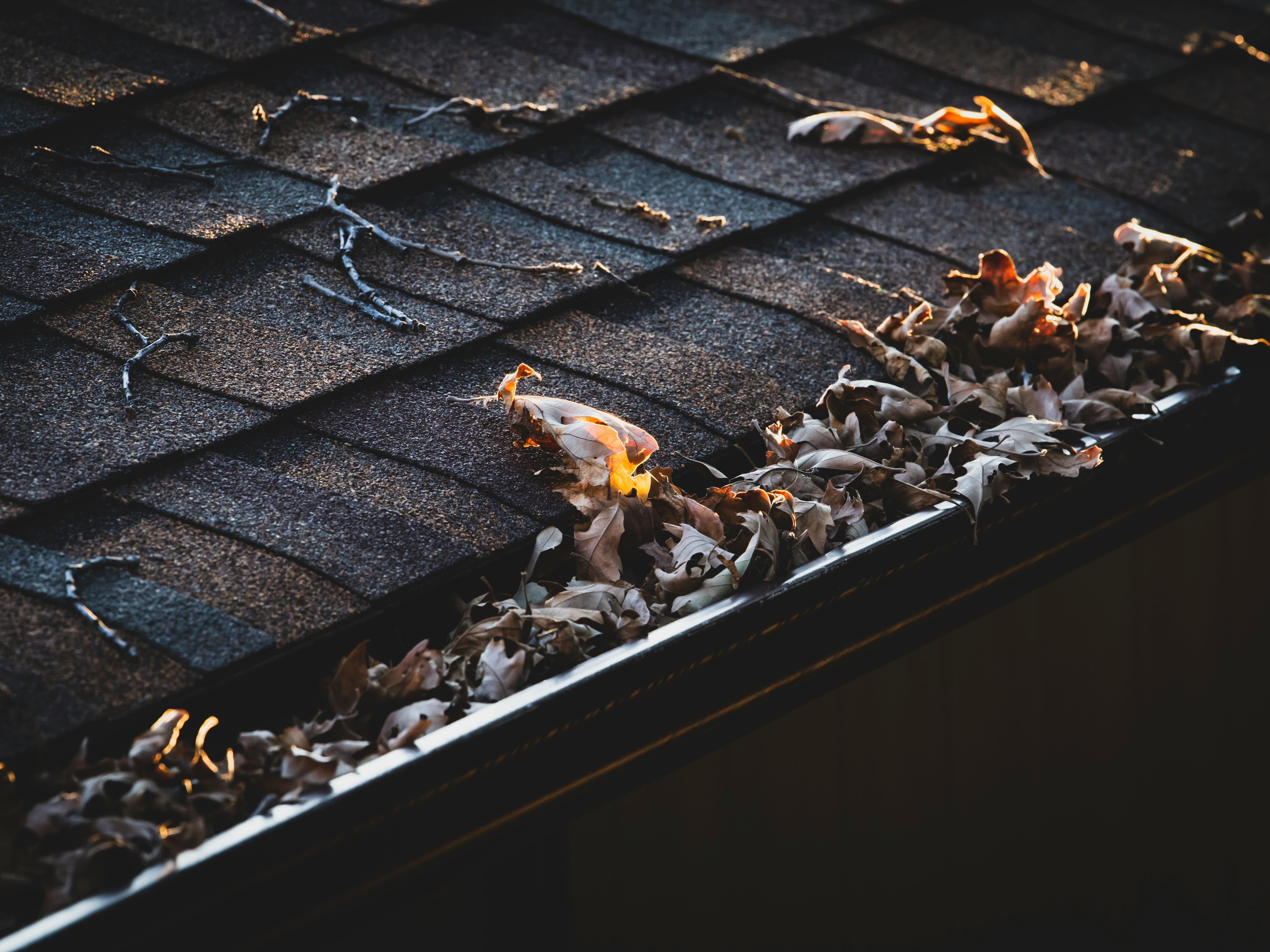 Gutter Cleanout in Peoria