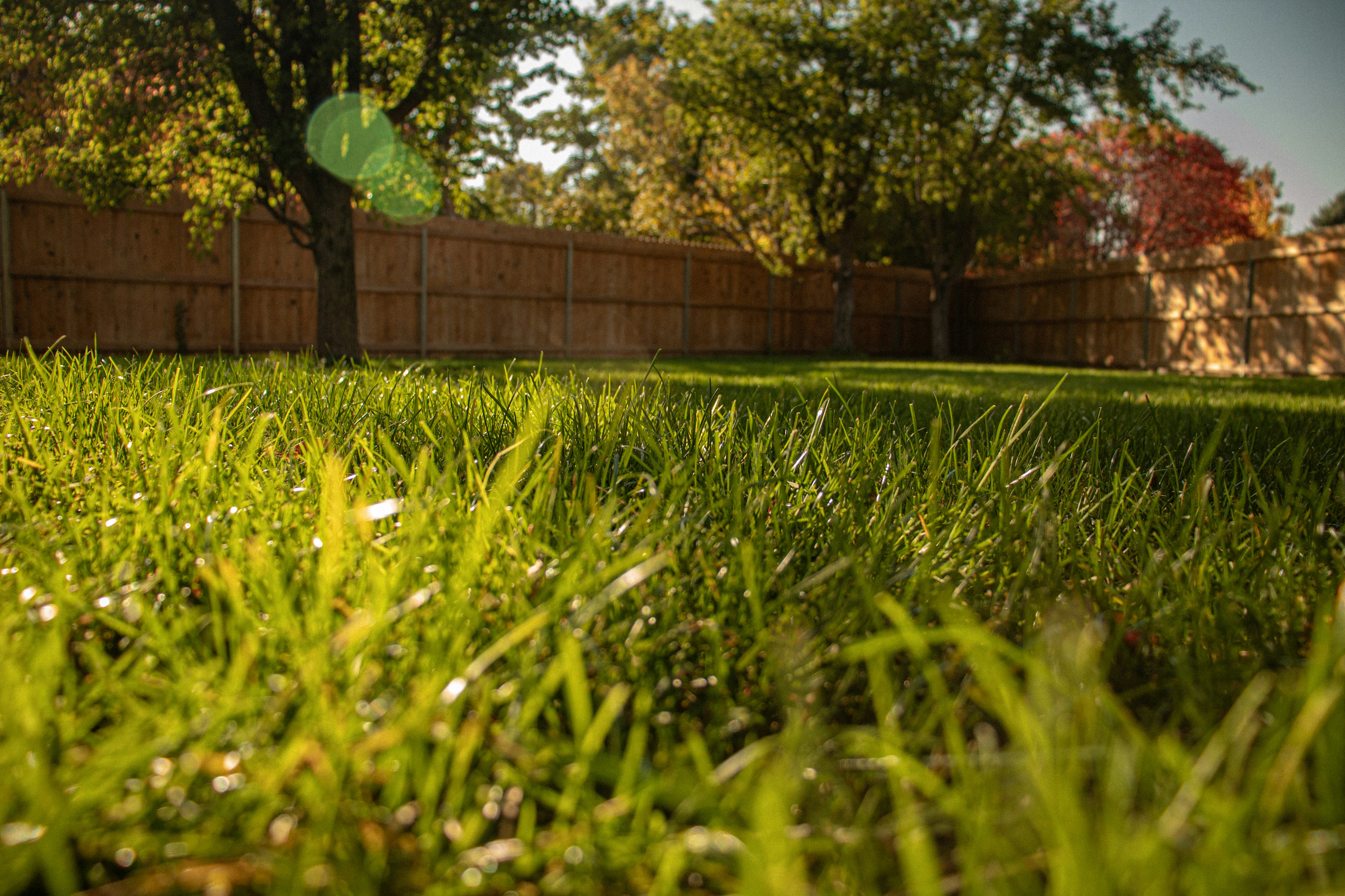 All Yard Maintenance in Peoria