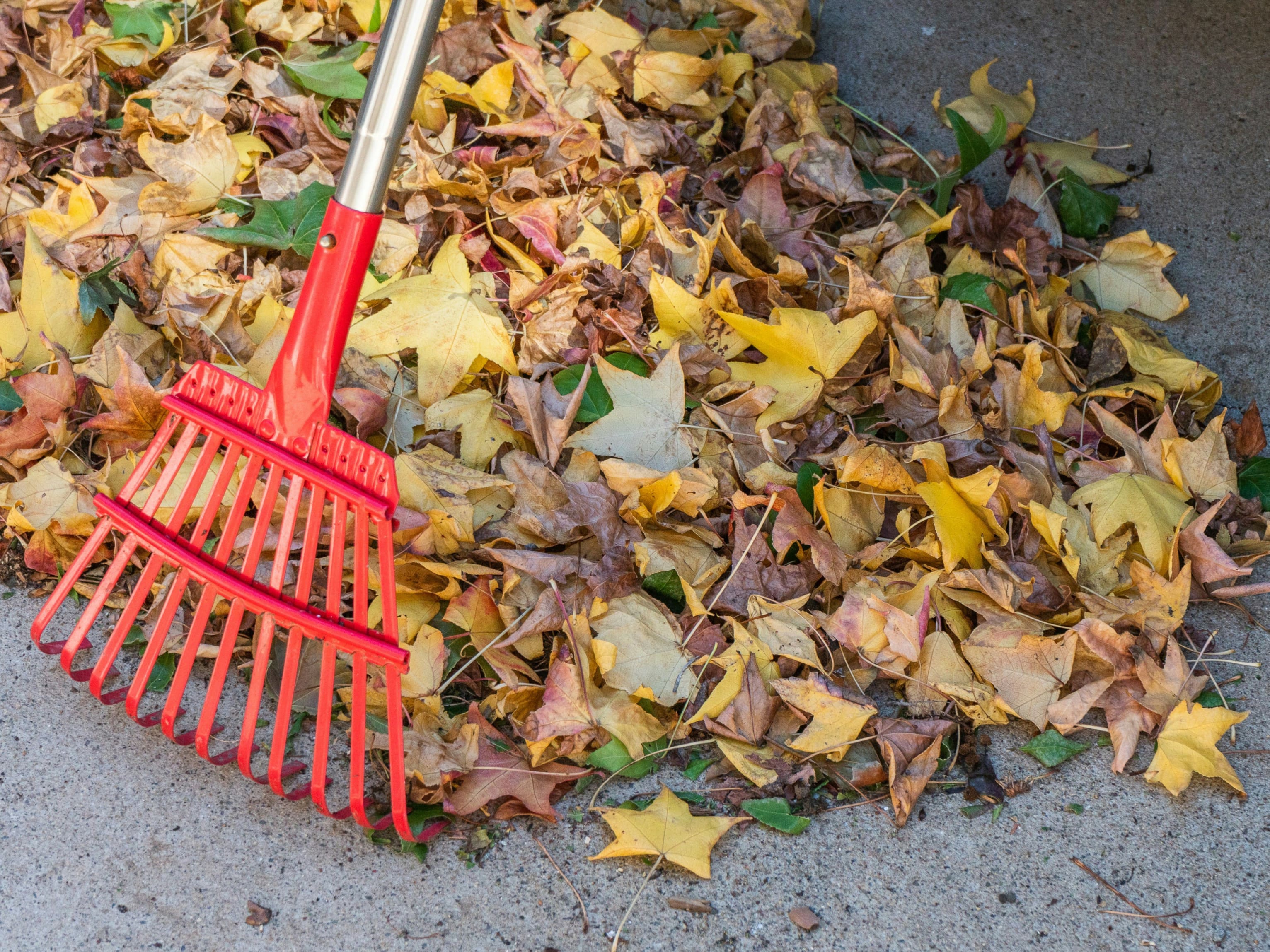 East Peoria Leaf Removal