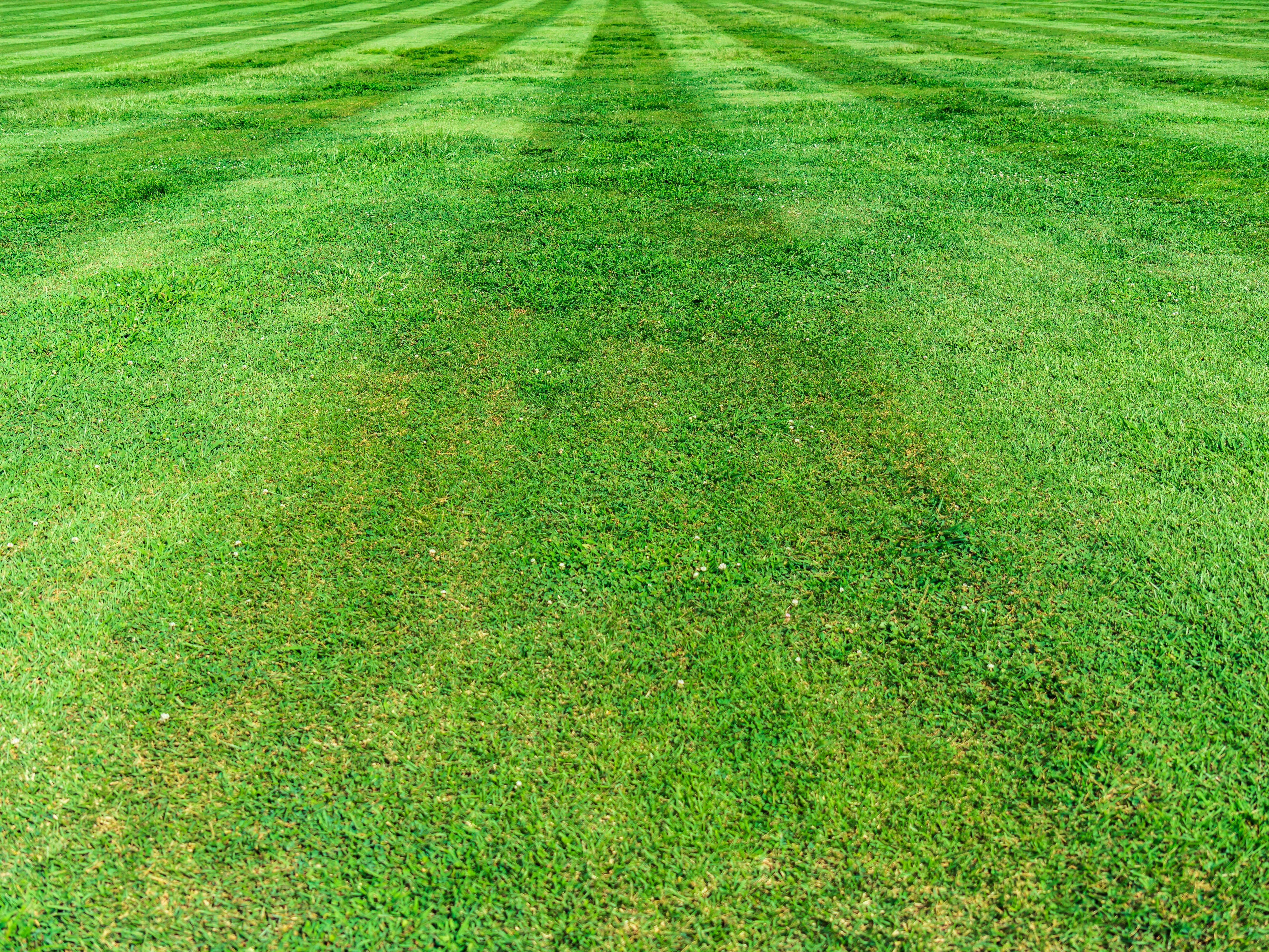 East Peoria Lawn Service