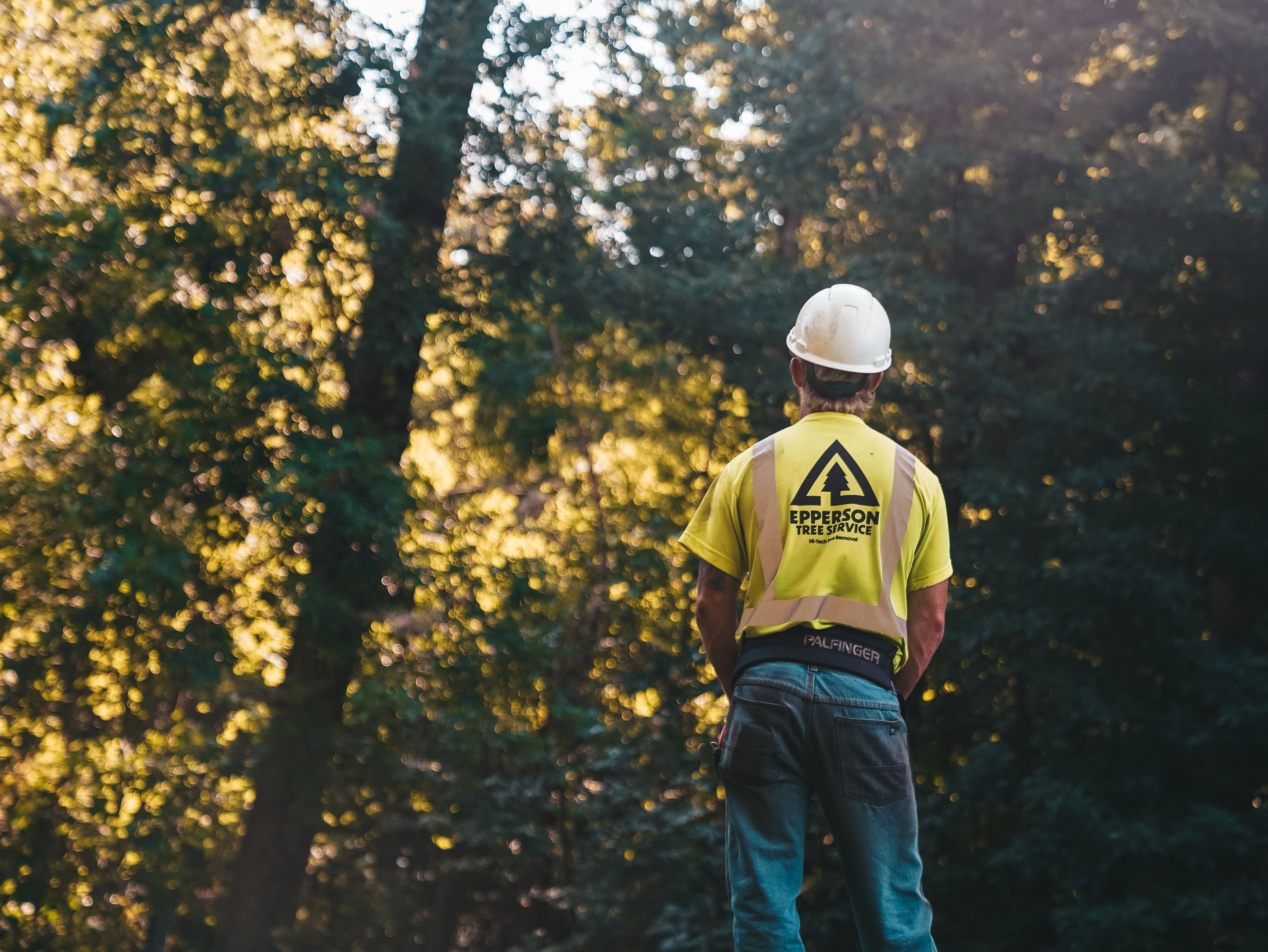 East Peoria Tree Service