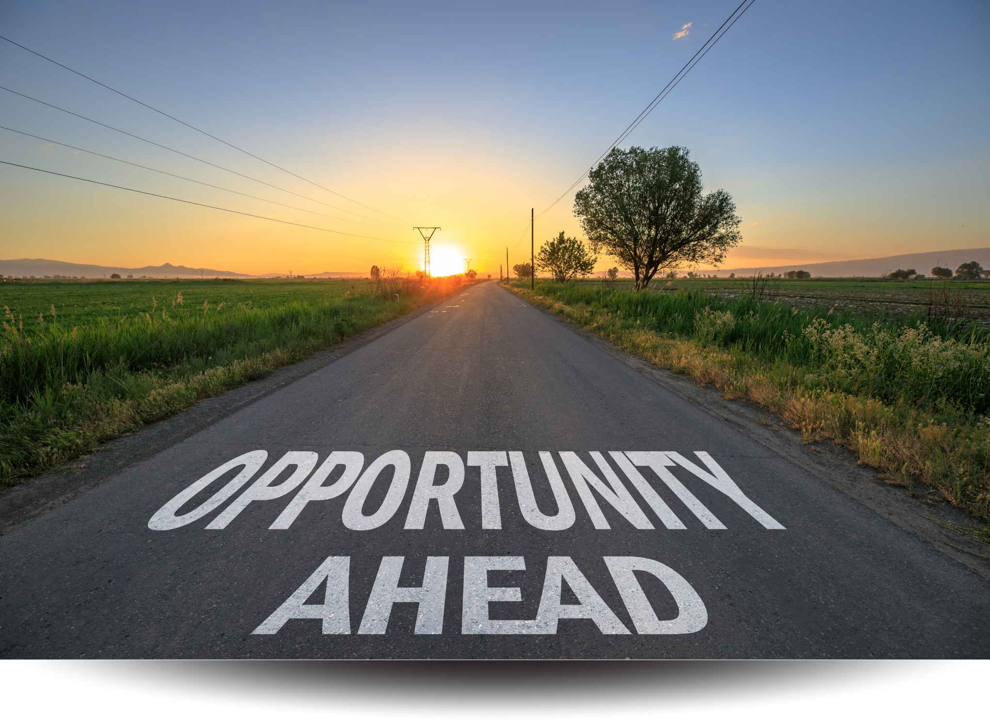 Opportunity Ahead