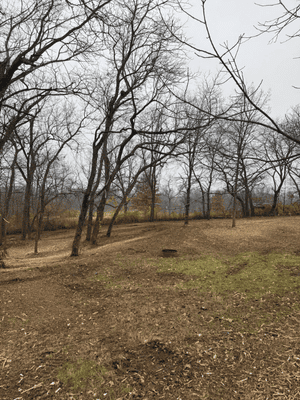 {{ custom_values.service_3 }} in {{custom_values.area_3})