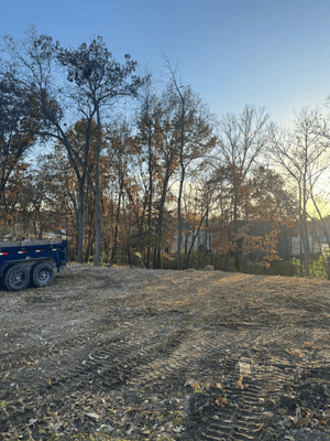 {{ custom_values.service_1 }} in {{custom_values.area_5})