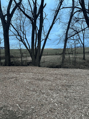 {{ custom_values.service_2 }} in {{custom_values.area_2})