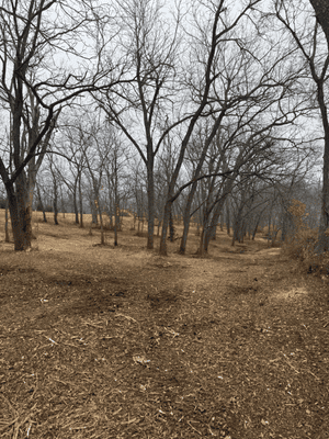 {{ custom_values.service_2 }} in {{custom_values.area_2})