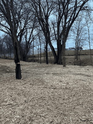 {{ custom_values.service_3 }} in {{custom_values.area_3})