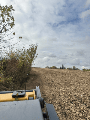 {{ custom_values.service_3 }} in {{custom_values.area_2})