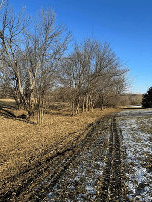 {{ custom_values.service_3 }} in {{custom_values.area_3})