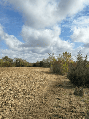 Grading in Indianola, IA