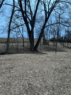 {{ custom_values.service_3 }} in {{custom_values.area_3})