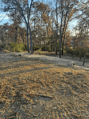 {{ custom_values.service_3 }} in {{custom_values.area_3})