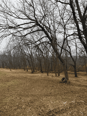 {{ custom_values.service_3 }} in {{custom_values.area_3})