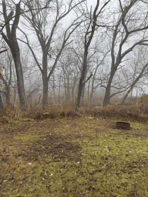 {{ custom_values.service_3 }} in {{custom_values.area_3})