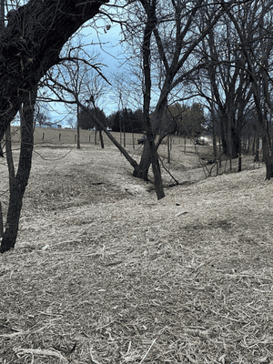 {{ custom_values.service_3 }} in {{custom_values.area_3})