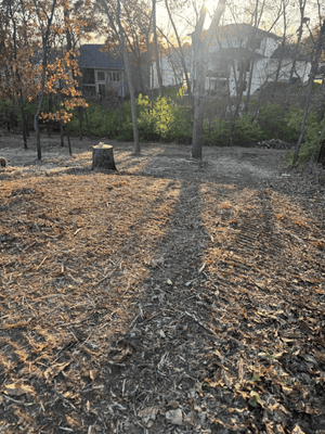 {{ custom_values.service_3 }} in {{custom_values.area_3})