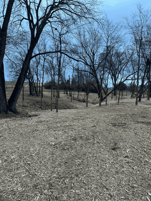 {{ custom_values.service_2 }} in {{custom_values.area_3})