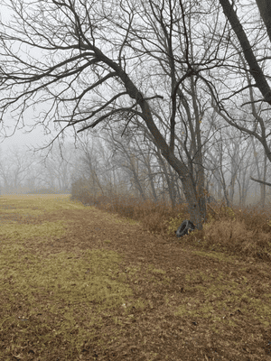 Site Prep in Indianola, IA