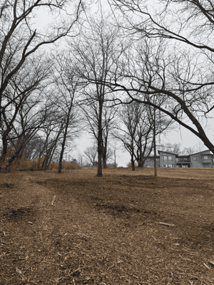 Site Prep in Indianola, IA