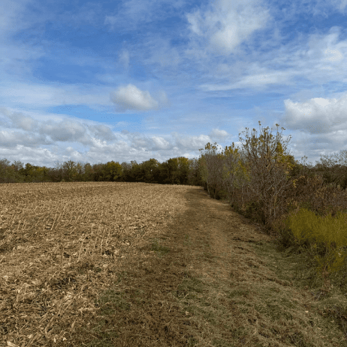 landscaping in Norwalk, IA