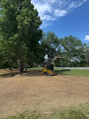 {{ custom_values.service_3 }} in {{custom_values.area_3})