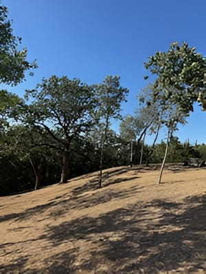 {{ custom_values.service_3 }} in {{custom_values.area_3})