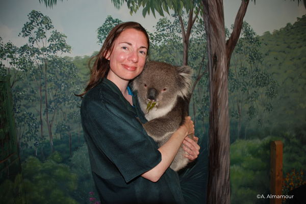 Holding a koala