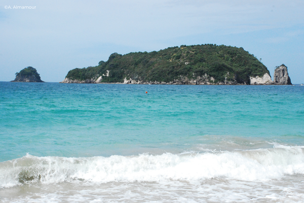 Cathedral Cove, New Zealand