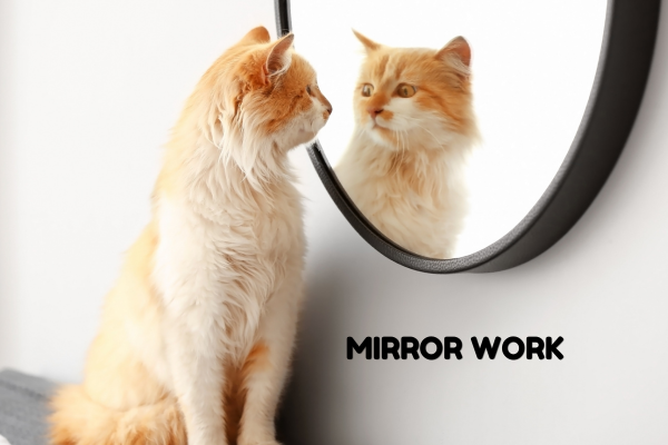 mirror work