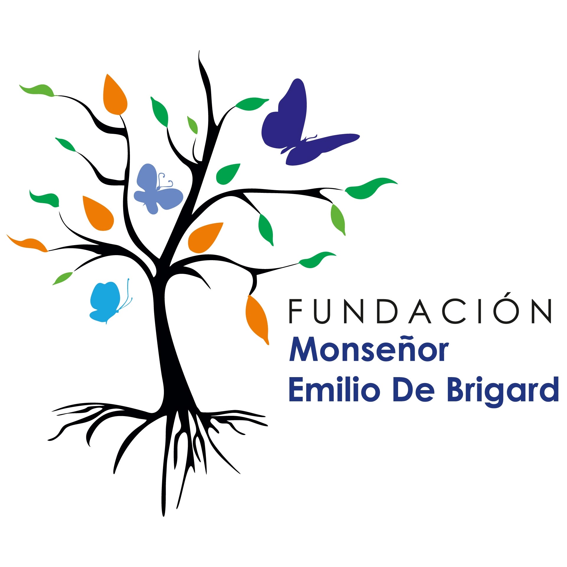 Fundación aliada 1