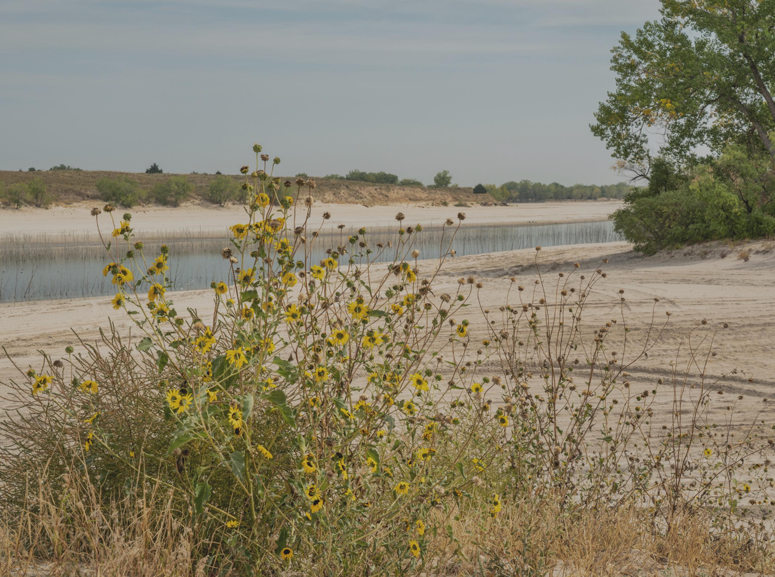 Lake McConaughy shoreline