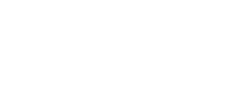 Mr. Car Shipper