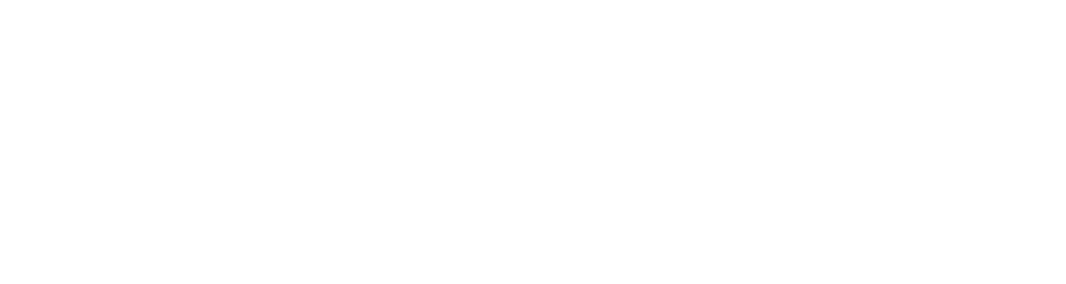 The Health Institute