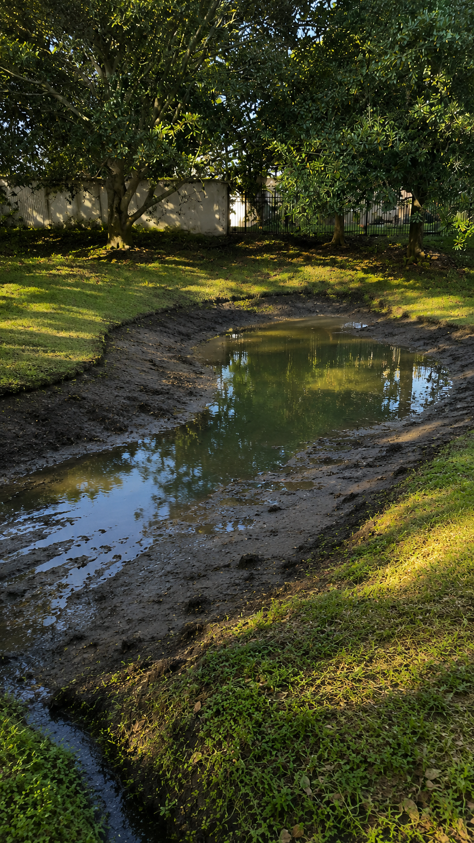 Norfolk Retention Pond Cleaning