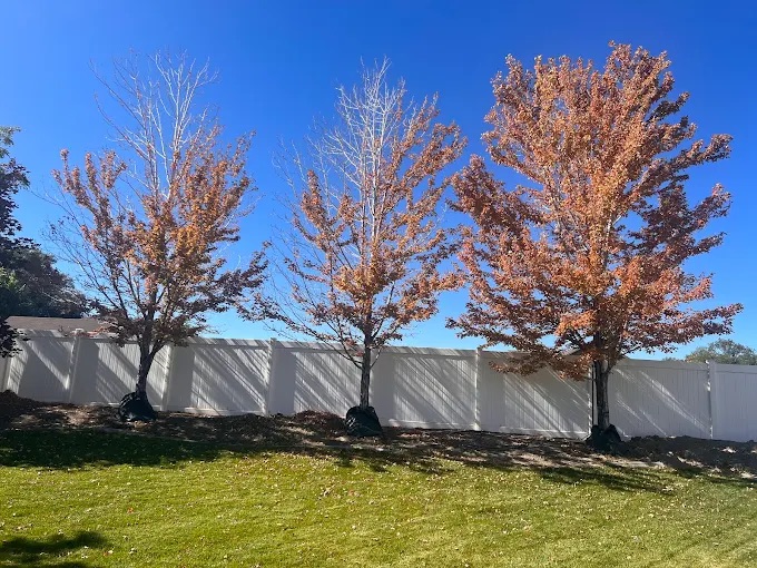 Lush Lawns for Lehi Homes