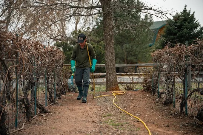 Bare Ground Weed Control
