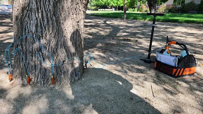 Healthy Lawns for Riverton Homes