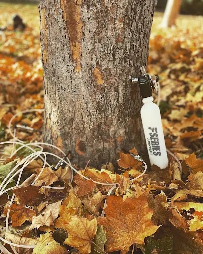 Community-Focused Service