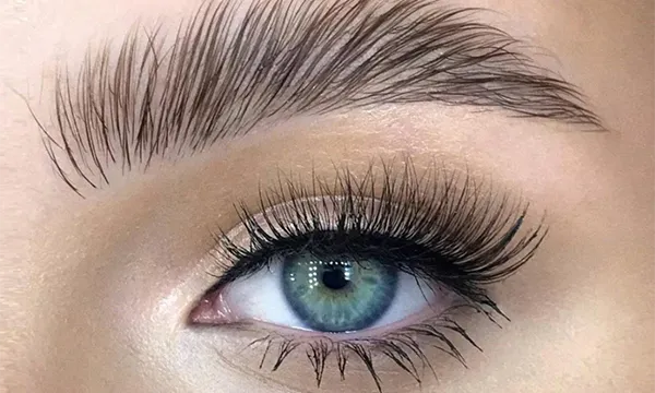 Close-up of lifted eyelashes and laminated brows for lash lift and brow lamination services in Clinton Township, MI