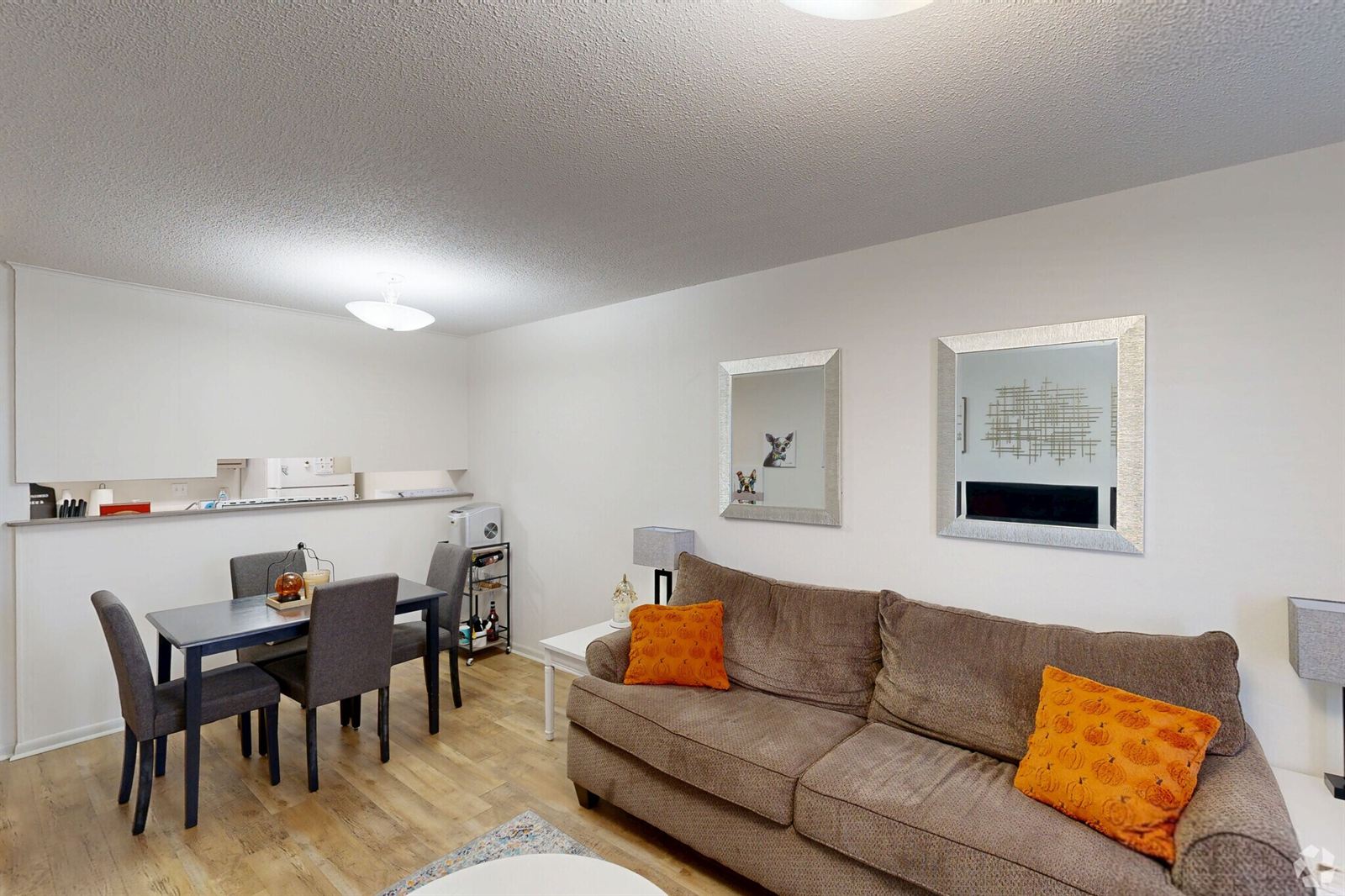 One-bedroom living room and dining area