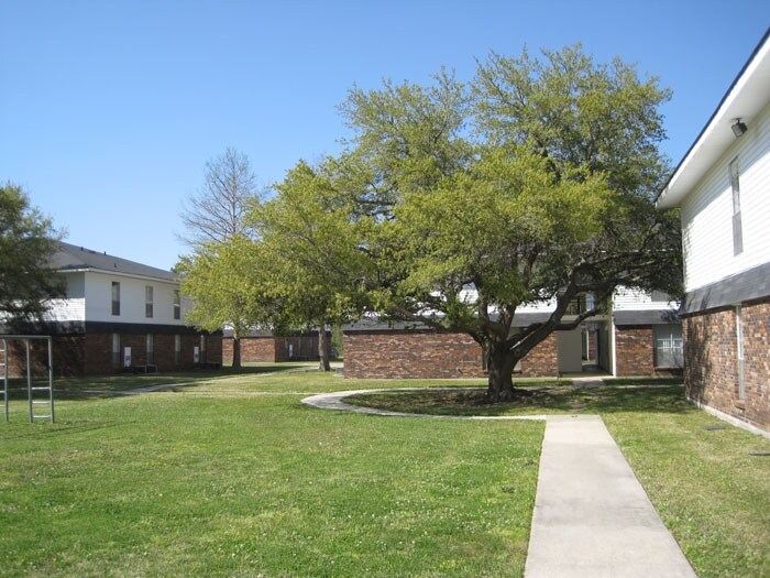 Grassy courtyard shaded by a live oak